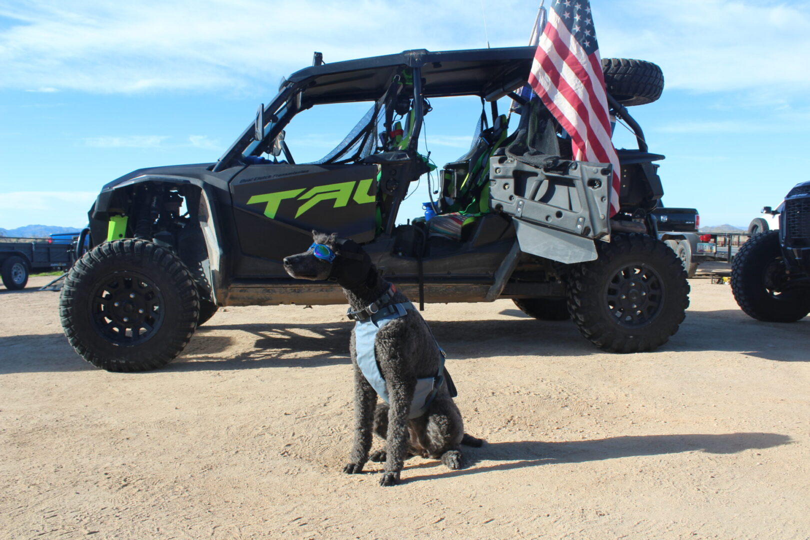 A dog sitting next to an atv with a flag on it.