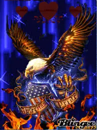 A picture of an eagle with the words " america pride ".