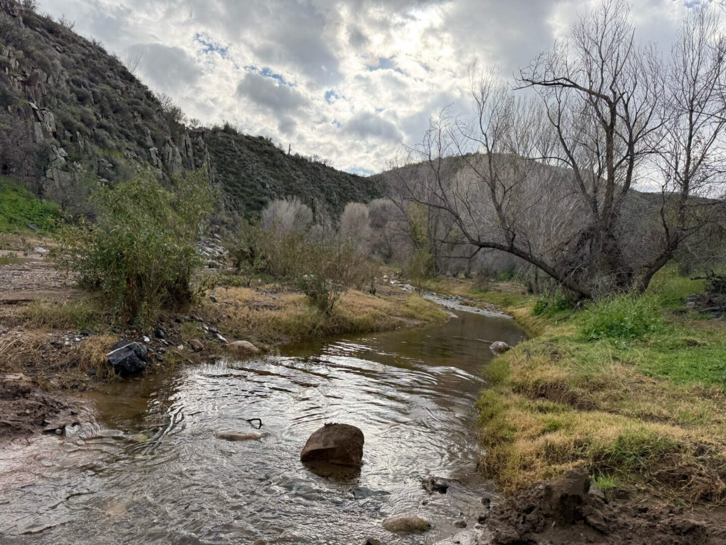 Small creek flowing through rocky valley with trees