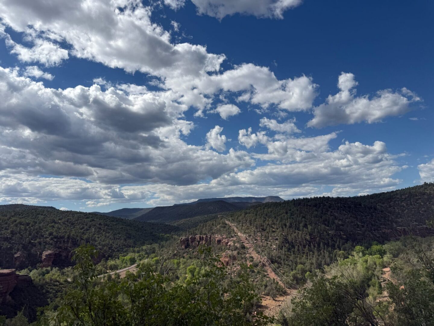 Scenic forested canyon under blue cloudy sky