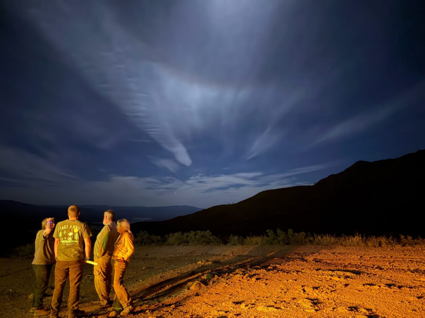 Group of people watching illuminated night sky