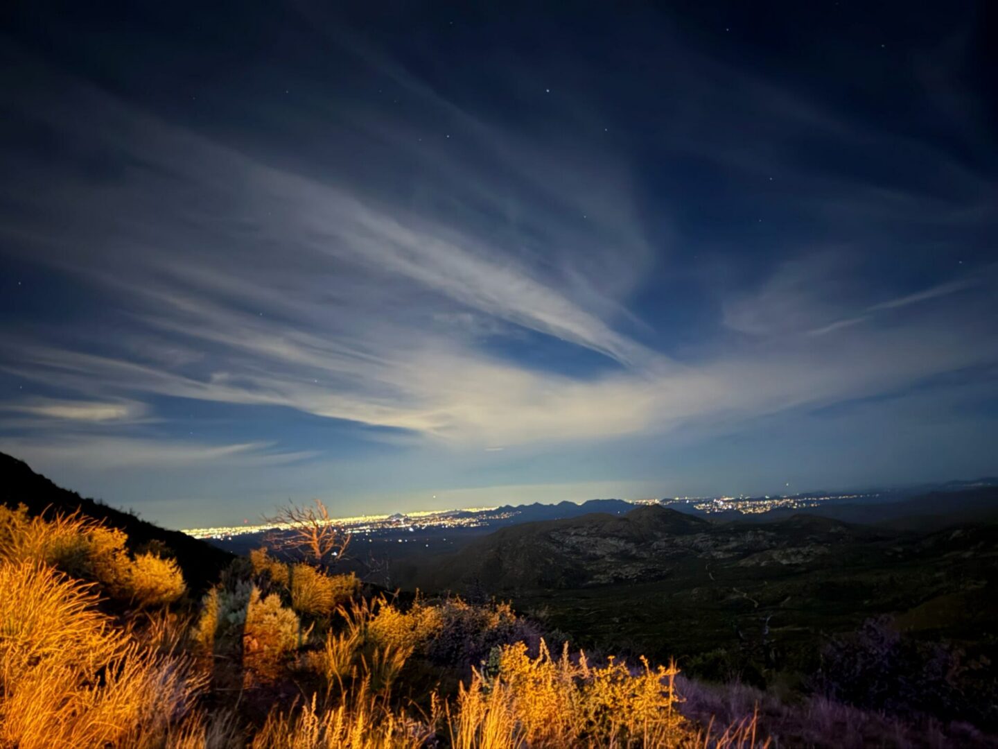Night hillside with golden grasses and city lights