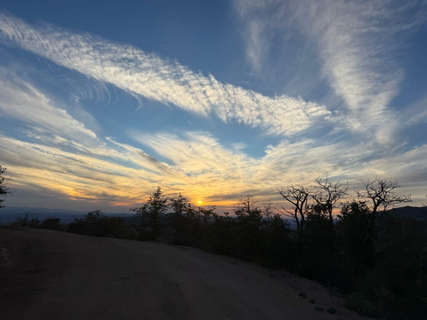 Sunset over winding road with silhouetted trees