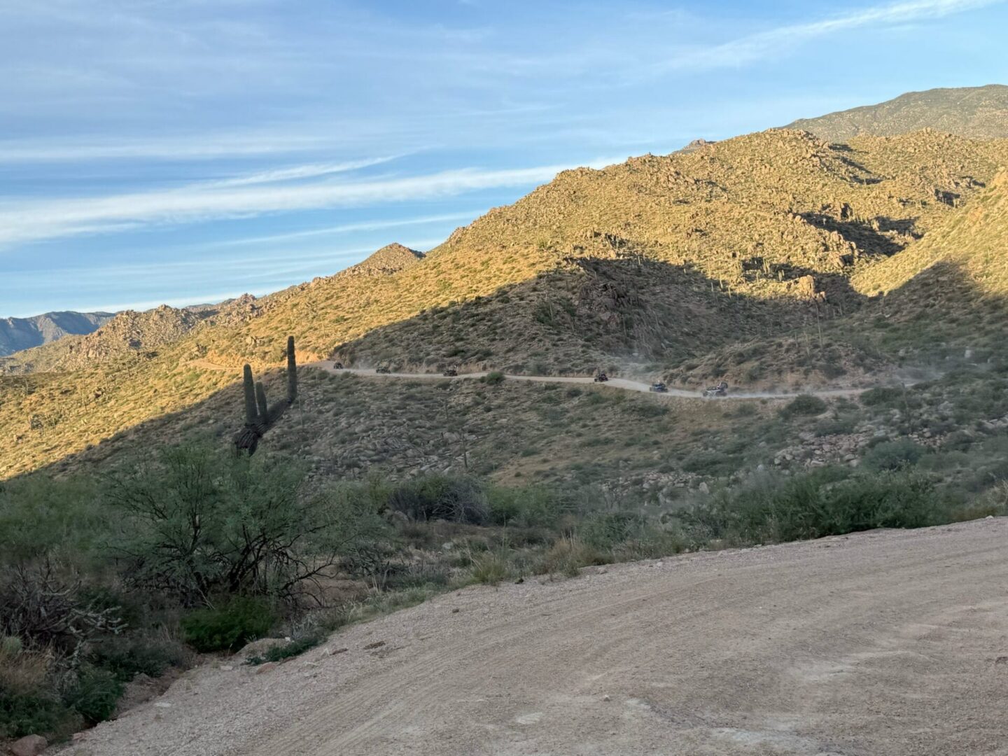 Winding dirt road through cactus-covered desert