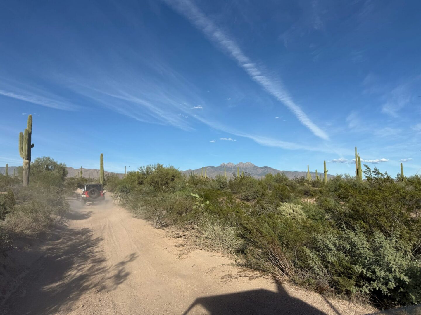 Off-road vehicle on dusty desert trail with cacti