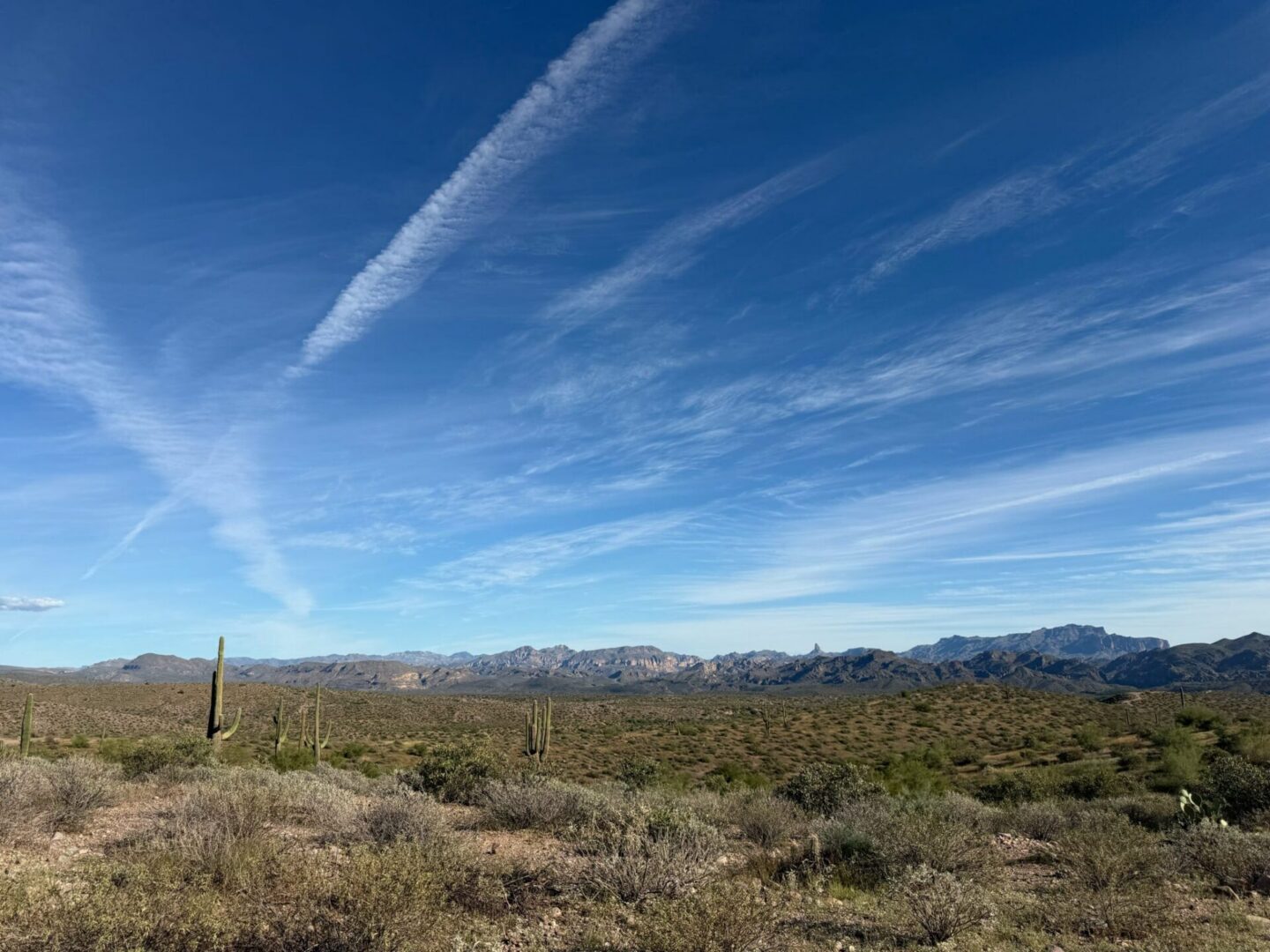 Desert landscape with saguaro cacti and mountains