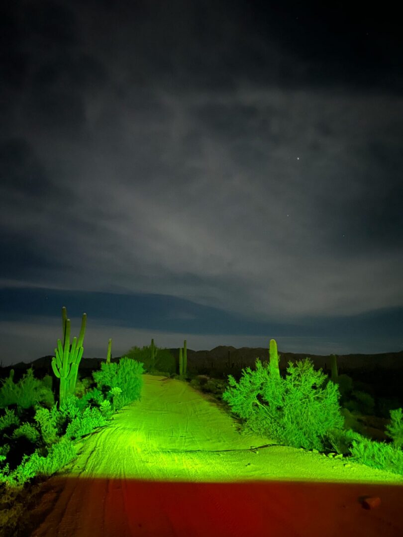 Green-lit desert road with cacti at night