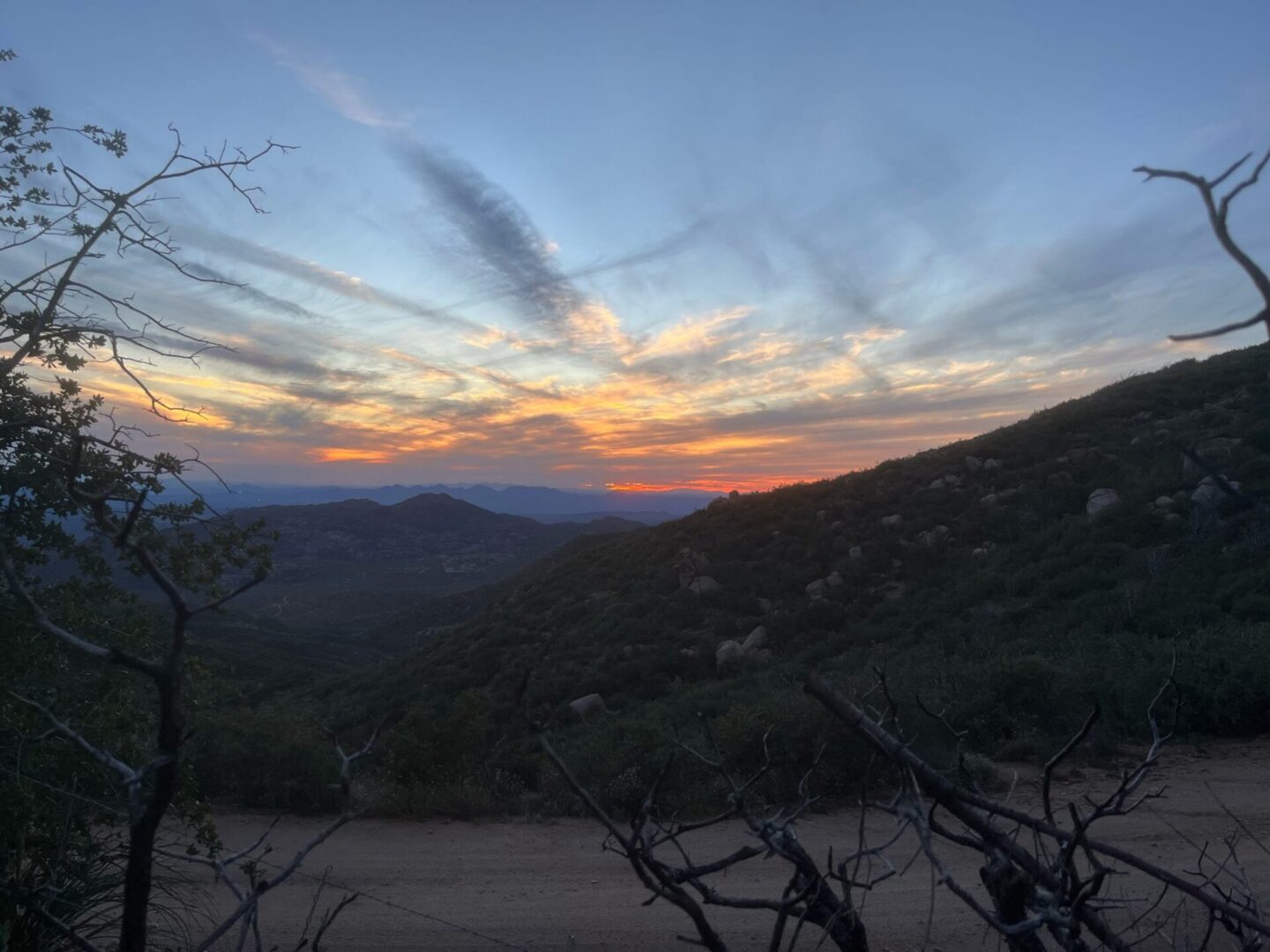 Sunset over rolling hills with silhouetted branches