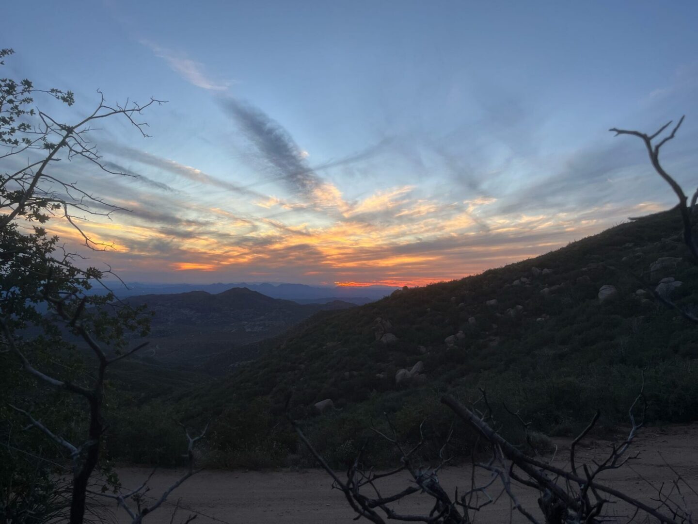 Sunset over rolling hills with silhouetted trees