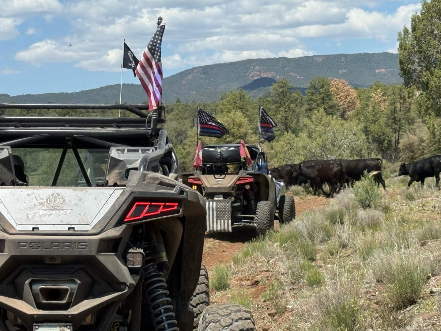 UTVs with American flags on dirt trail