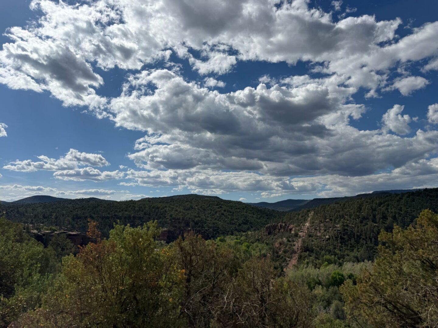 Lush forested hills under scattered cumulus clouds